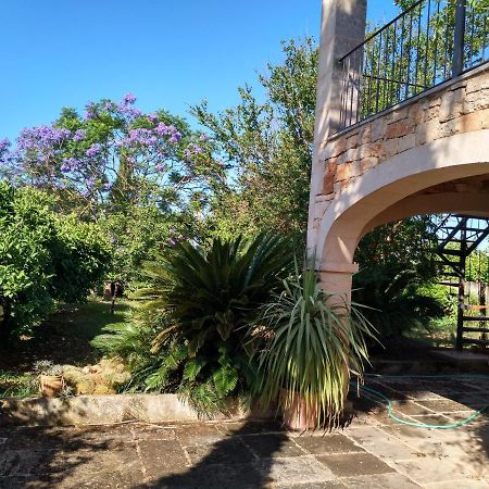 Lujosa Casa Mallorquina Restaurada Ses Salines  Eksteriør billede