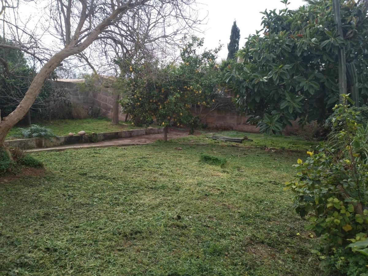 Lujosa Casa Mallorquina Restaurada Ses Salines  Eksteriør billede